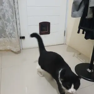 Pintu Kucing Anjing / Medium Pet Door / Cat Door With Tunnel