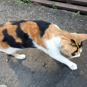 Rambu Slow Down Hati-hati Banyak Anak-anak 35cm x 50cm Plat Alumunium