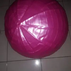 Gym Ball / Yoga Ball (65cm) + Pompa - (OL 0218)