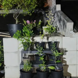 Rak tanaman 3 susun bahan kayu