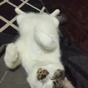 MD4030 Gold Metal Detector Emas Logam King Detektor MD-4030