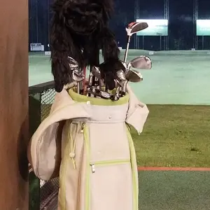 Driver Golf Head Cover Daphne's | Stick Golf | Sarung Stick Golf