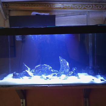 Product Review of batu kreket aquascape 1kg / batu kreket aquarium 1kg / kreket 1kg from Tokopedia customer review 0