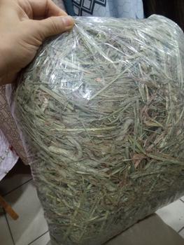 Product Review of Wohlstand Timothy Hay Makanan Kelinci Rumput NO OXBOW Timothy Hay 1kg from Tokopedia customer review 0