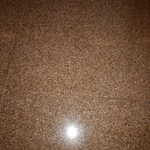 Batu Alam Putih Koral Putih 1KG batu taman hiasan tanaman pot dekorasi