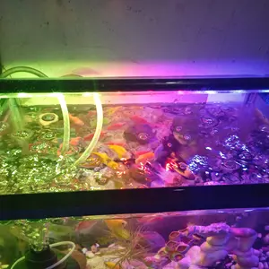 Lampu LED Celup Aquarium T4 20Cm, 30Cm, 40Cm Aquascape