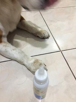 Product Review of Oxyfresh Pet Ear Cleaner 100ml - Pembersih Telinga Hewan from Tokopedia customer review 2