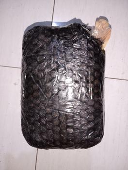 Product Review of Makanan Kucing Bolt Repack 800GR Murah Tuna Cat Food MURAH !!! from Tokopedia customer review 1