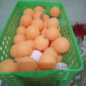 Bola pingpong / Bola tenis meja blue shield 101 isi 6 pcs