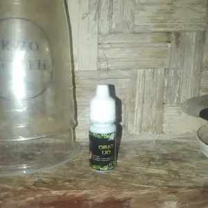 KETAPANG LAUT OLAHAN FERMENTASI