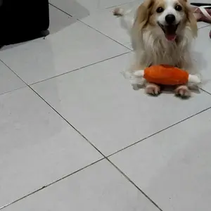 Mainan Gigit Bunyi "DRUM STICK" Dog Chew Squeaky Toys