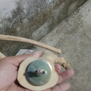 Tangkringan Bercabang Pangkringan Tenggeran Kayu kopi Burung Parrot Sugar Glider