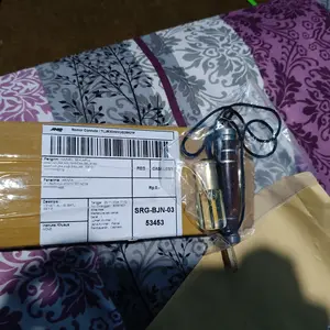 cemeti ali isi batu petir