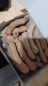 Product Review of Buah Asam Bangkok / Sweet Tamarind 500gr Manis Thailand Harga Grosir from Tokopedia customer review 1