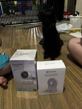 Product Review of Camera Ezviz C6N Smart Wifi Pan Tilt Camera 1080p Garansi Resmi from Tokopedia customer review 3