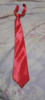 Product Review of Dasi Merah Polos Instan Satin Kantor Simpul Panjang Pria Wanita from Tokopedia customer review 0