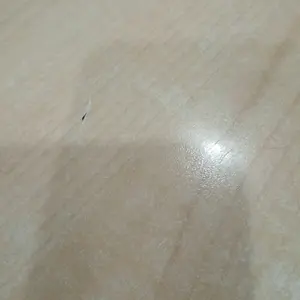 Miniso Diffuser Pewangi Ruangan Flower Series Scent Diffuser Pengharum RUangan Dekorasi Rumah