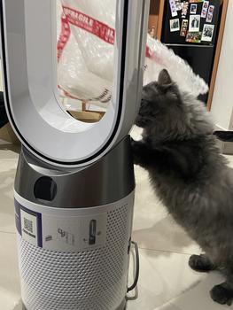Product Review of Dyson Purifier Cool Gen1 Air Purifier TP10 (White) - Penjernih Udara from Tokopedia customer review 0