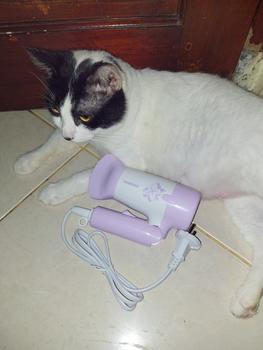 Product Review of Samono Hair Dryer Pengering Rambut Low Watt 300 Watt 2 Kecepatan Angin Bisa Dilipat SW-HD10 from Tokopedia customer review 2