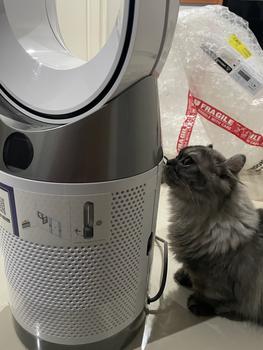 Product Review of Dyson Purifier Cool Gen1 Air Purifier TP10 (White) - Penjernih Udara from Tokopedia customer review 1
