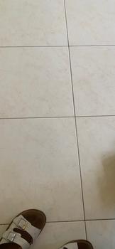 Product Review of MOSSDOOM Tas Wanita Jenye Tas Selempang Wanita from Tokopedia customer review 0