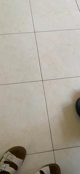 Product Review of MOSSDOOM Tas Wanita Jenye Tas Selempang Wanita from Tokopedia customer review 2