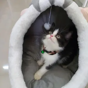 Tempat Tidur Kasur Keranjang Kucing Anjing Hewan Peliharaan Cat House