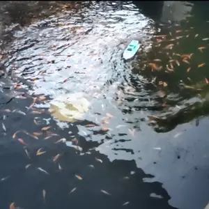 RC Kapal Pesiar Speed Boat | Mainan Edukasi Anak Kapal Remote Control