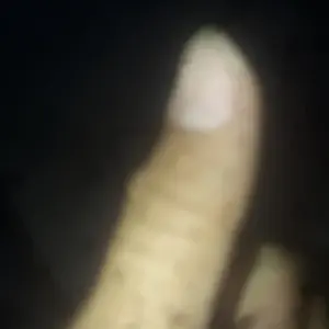 Minyak Kelapa Murni Vco SR12 Untuk Ibu Hamil Dan Menyusui BPOM Halal