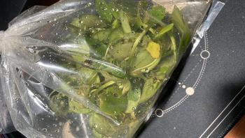 Product Review of TANAMAN AIR FROGBIT APUNG LIMNOBIUM LAEVIGATUM AMAZON FROGBIT CUPANG from Tokopedia customer review 0