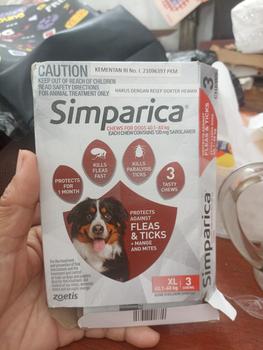 Product Review of SIMPARICA 1 Tablet - Obat Kutu Kunyah Untuk Anjing from Tokopedia customer review 0
