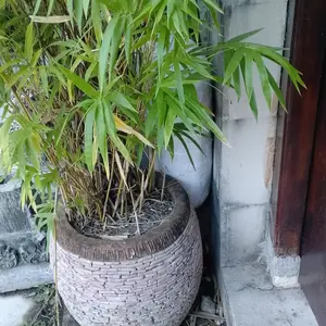 Inner duvet Ukuran 240x230, 260x230 - Quilt insert - insert Selimut