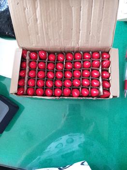 Product Review of Lampu bohlam sembahyang merah cabe E12 bohlam altar No LED merek KTY from Tokopedia customer review 0