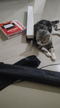 Product Review of TAKARA SPIRIT-1 Light Stand Lightstand Tripod Spirit 1 from Tokopedia customer review 0