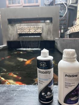 Product Review of Seachem Pristine - Bakteri Starter Anaerob penjernih kolam from Tokopedia customer review 0