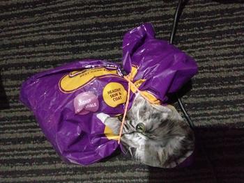 Product Review of Makanan Kucing Bolt Repack 800GR Murah Tuna Cat Food MURAH !!! from Tokopedia customer review 0