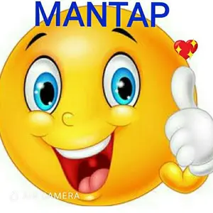 Safety Socket Plug Listrik EU Tutup Pengaman Cover Stop Kontak Bayi