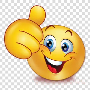 Wan Ja Shan Mirin 450ml Arak Masak Sweet Cooking Rice Seasoning