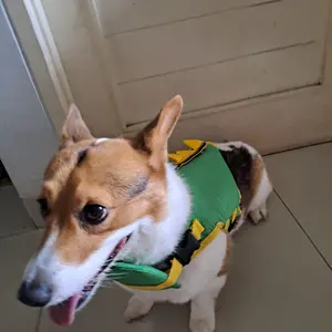 Rompi Jaket Pelampung Renang Anjing Kucing Hewan Dino Pet Life Jacket