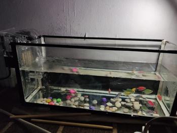 Product Review of BIOBLOX BIO BLOCK MEDIA FILTER AQUARIUM DAN KOLAM IKAN MURAH MERIAH from Tokopedia customer review 0