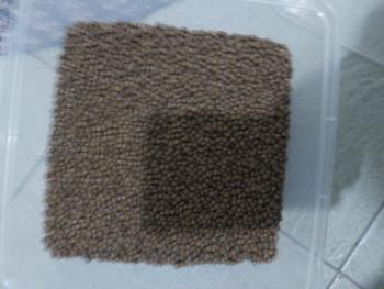 Product Review of pelet apung KAE pelet ikan koi pakan ikan hias from Tokopedia customer review 2
