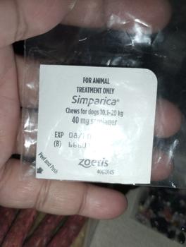 Product Review of SIMPARICA 1 Tablet - Obat Kutu Kunyah Untuk Anjing from Tokopedia customer review 0
