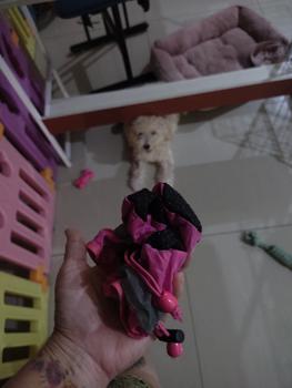 Product Review of Sepatu boots anjing kucing cat dog tebal anti slip musim dingin shoes from Tokopedia customer review 0