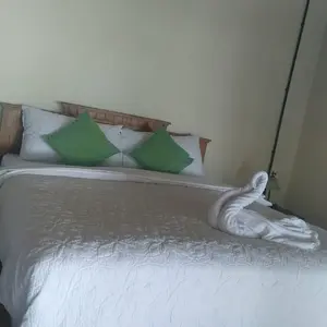 DUVET INER/INSERT DUVET DALEMAN BEDCOVER 100% SILOCON 9ozz HOTEL