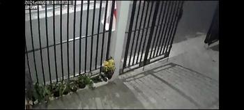 Product Review of EYESEC CCTV Outdoor 1080P Ip66 STC IP Camera CCTV Wifi APP EseeCloud from Tokopedia customer review 3