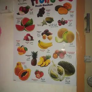 Hayaidesu MudFlap Honda PCX 160 (2021-2025) Penahan Lumpur - Premium Quality