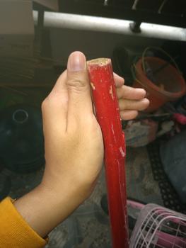 Product Review of Tongkat Pramuka Bambu Tongkat Cat Merah Putih Panjang 160cm Dm 3-5cm from Tokopedia customer review 1
