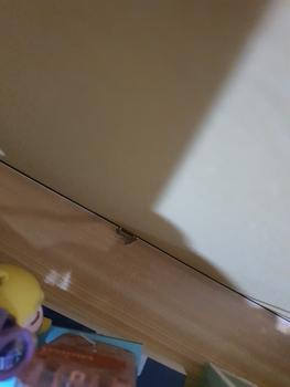 Product Review of Meja Lipat Kerja Portabel Meja Lipat Serbaguna Desain Modern-Z10A2 from Tokopedia customer review 0