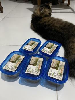 Product Review of Rumput Kucing Paket Benih Seed Cat Grass Rumput Gandum Makanan Kucing from Tokopedia customer review 0