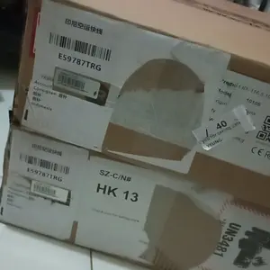 Iceriver AL0 400G ALPH Alephium Asic Miner 400 GH Kripto Mining Blake3 Promo